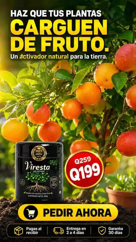 FERTILIZANTE ACTIVADOR Y ENRAIZADOR DE PLANTAS VIRESTA