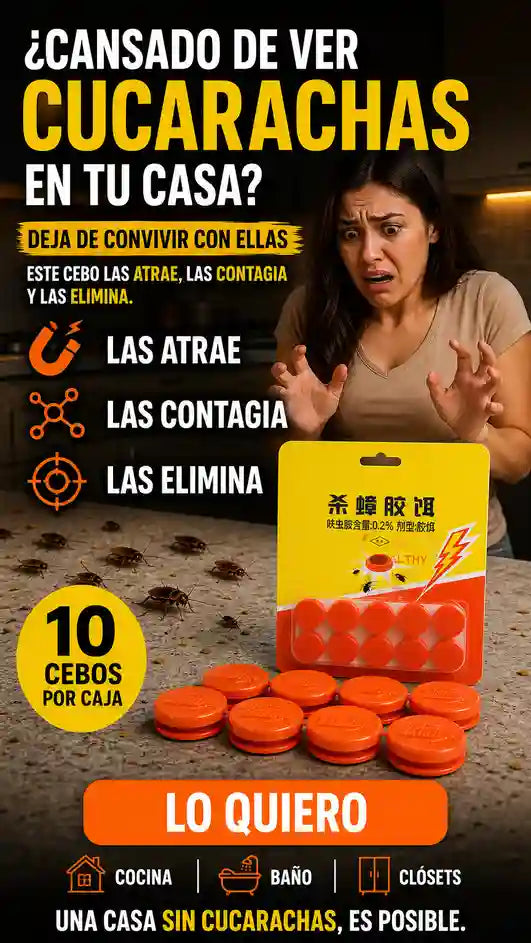 CEBO MATA CUCARACHAS (PACK DE 10 CAJITAS)
